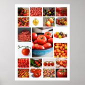 TOMATO Collage Poster (Vorne)