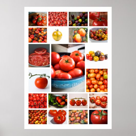TOMATO Collage Poster (Vorne)