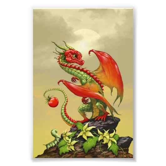 Tomato Dragon 4x6 Print Fotodruck (Vorne)