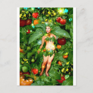 Tomato Fairy Postkarte