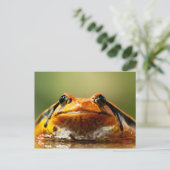 Tomato Frog Postkarte (Stehend Vorderseite)