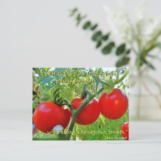 Tomato Fun Zitat Postkarte (Stehend Vorderseite)
