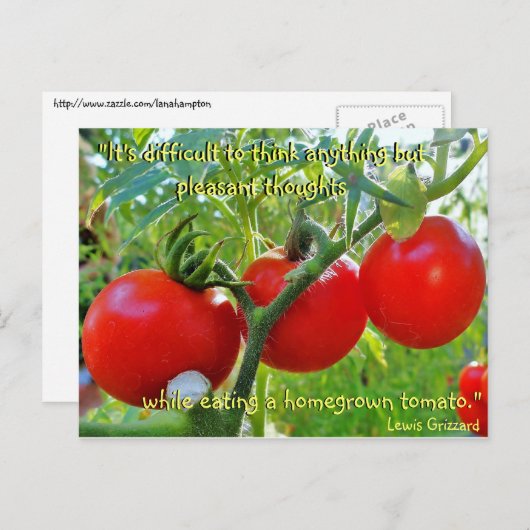 Tomato Fun Zitat Postkarte (Vorne/Hinten)