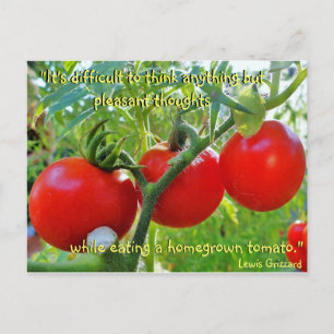 Tomato Fun Zitat Postkarte