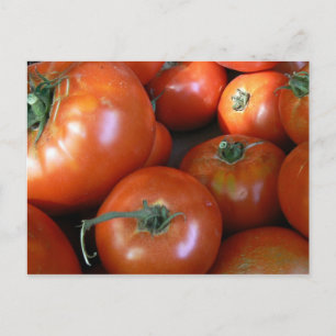Tomato Harvest Postkarte