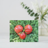 Tomato Heart Postcard Postkarte (Stehend Vorderseite)