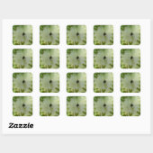 Tomato Hearts Quadratischer Aufkleber (Blatt)