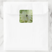 Tomato Hearts Quadratischer Aufkleber (Tasche)
