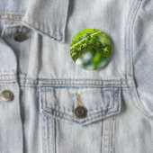 Tomato Hornworm Button (Beispiel)