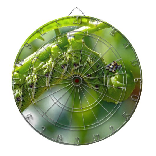 Tomato Hornworm Dartscheibe (vorne)