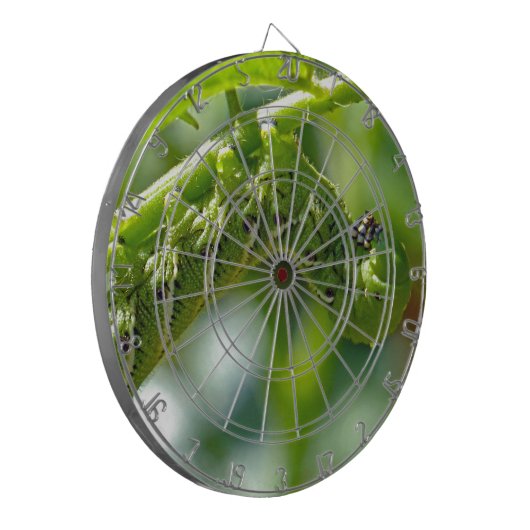 Tomato Hornworm Dartscheibe (Vorderseite Links)
