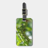 Tomato Hornworm Gepäckanhänger (Vorderseite vertikal)