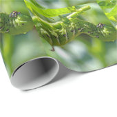 Tomato Hornworm Geschenkpapier (Rolleneckpunkt)