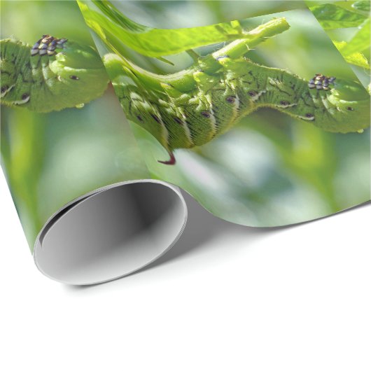 Tomato Hornworm Geschenkpapier (Rolleneckpunkt)