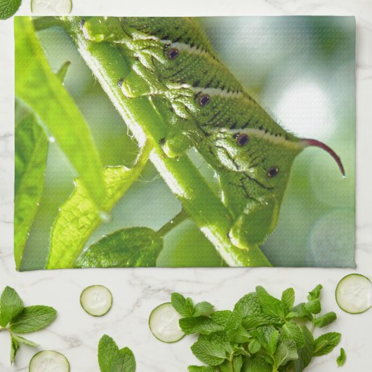 Tomato Hornworm Geschirrtuch (Gefaltet)