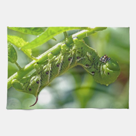Tomato Hornworm Geschirrtuch (Horizontal)