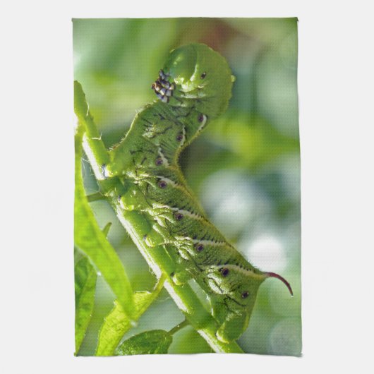 Tomato Hornworm Geschirrtuch (Vertikal)