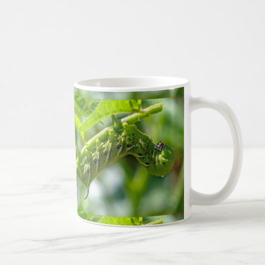 Tomato Hornworm Kaffeetasse (Rechts)