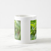 Tomato Hornworm Kaffeetasse (Mittel)