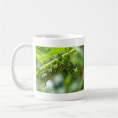 Tomato Hornworm Kaffeetasse (Links)
