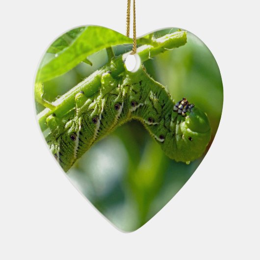 Tomato Hornworm Keramik Ornament (Rechts)