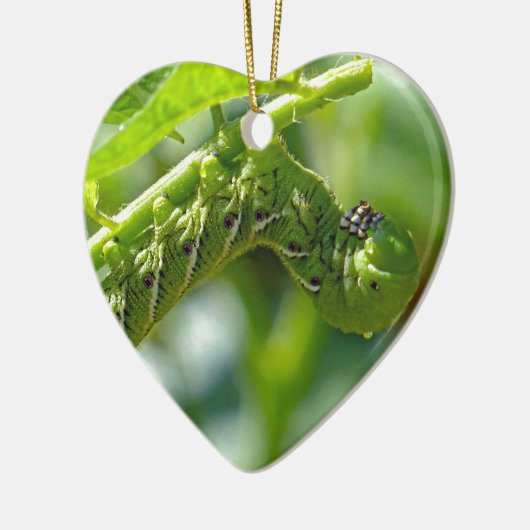 Tomato Hornworm Keramik Ornament (Links)
