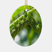 Tomato Hornworm Keramik Ornament (Rechts)