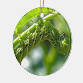 Tomato Hornworm Keramik Ornament (Links)