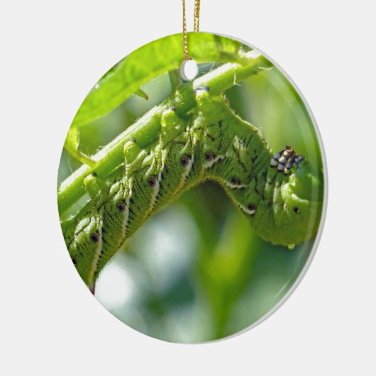 Tomato Hornworm Keramik Ornament (Links)