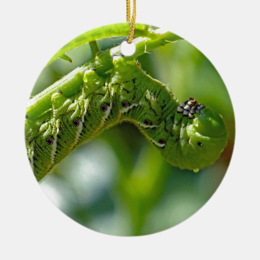 Tomato Hornworm Keramik Ornament (Vorne)
