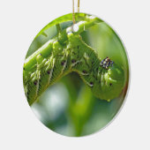 Tomato Hornworm Keramik Ornament (Links)