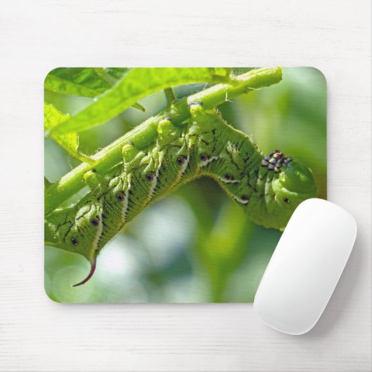 Tomato Hornworm Mousepad (Mit Mouse)