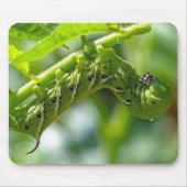 Tomato Hornworm Mousepad (Vorne)