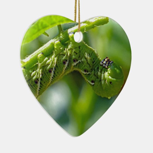 Tomato Hornworm Ornament (Rechts)