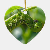 Tomato Hornworm Ornament (Vorne)