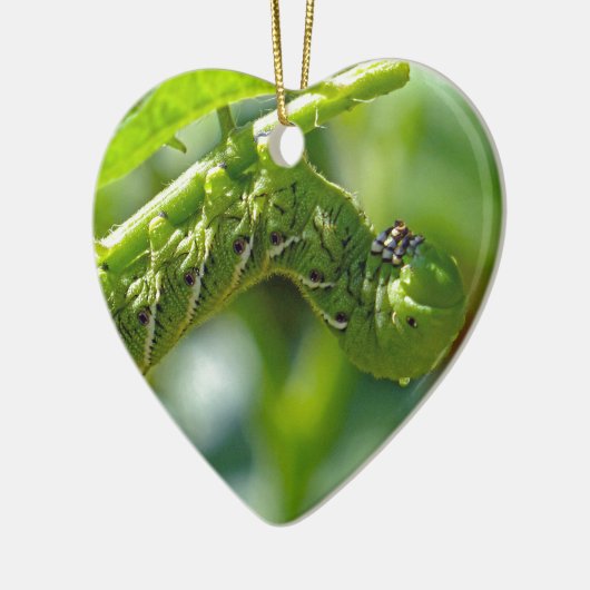 Tomato Hornworm Ornament (Links)