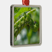 Tomato Hornworm Ornament Aus Metall (Rechts)