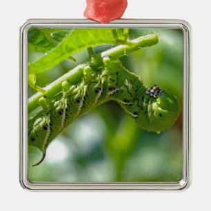 Tomato Hornworm Ornament Aus Metall