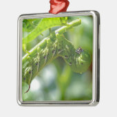 Tomato Hornworm Ornament Aus Metall (Links)