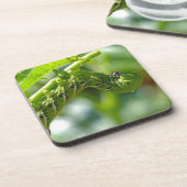 Tomato Hornworm Untersetzer (Linke Seite)