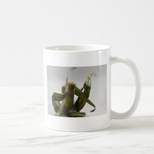 Tomato Kaffeetasse (Rechts)