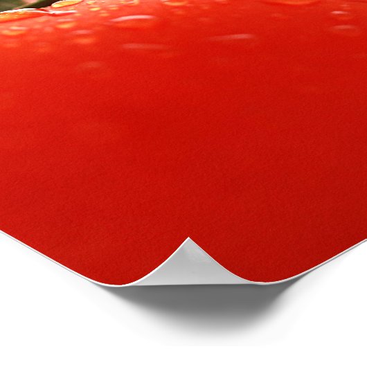 Tomato Nah Up Poster (Ecke)