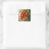Tomato Plant Gardening Themed Summer Vibes Quadratischer Aufkleber (Tasche)