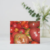 Tomato Postcard Postkarte (Stehend Vorderseite)