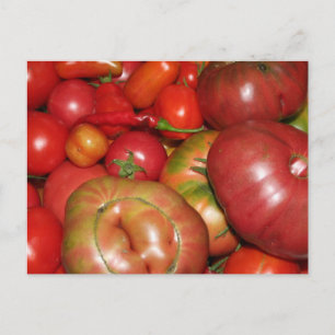 Tomato Postcard Postkarte
