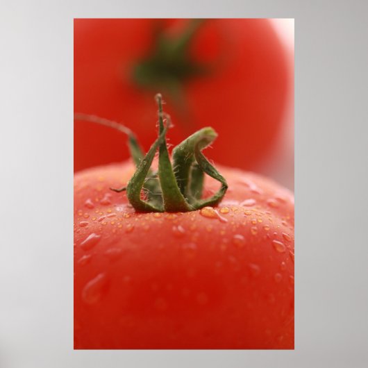 Tomato Print Poster (Vorne)