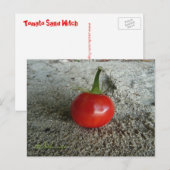 Tomato Sand Witch Postkarte (Vorne/Hinten)