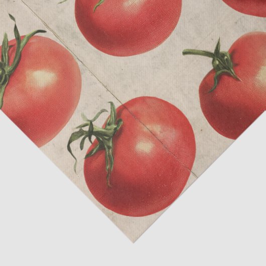 Tomato Seidenpapier (Detail)