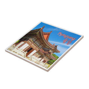 Tomb King Tongmy, PYONGYANG, Nordkorea, Fliese