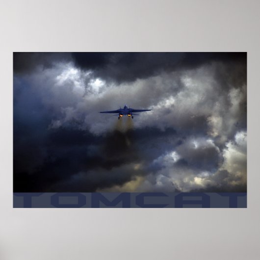 Tomcat Poster (Vorne)